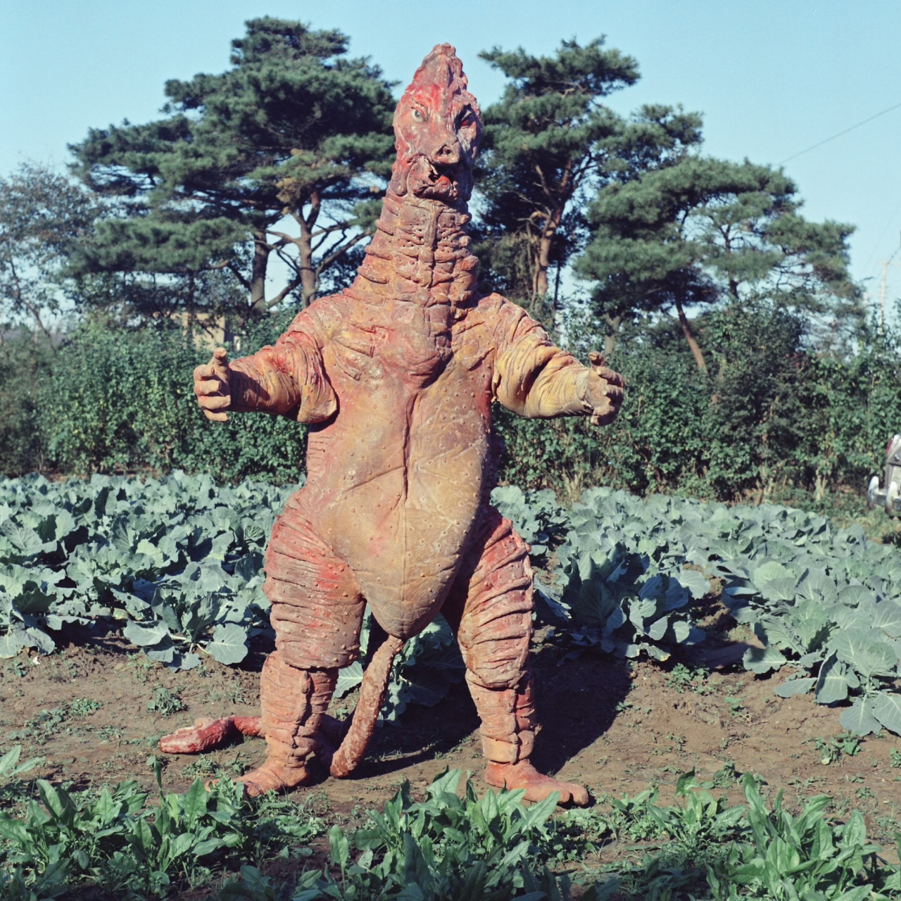 TSUBURAYA・IMAGINATION
